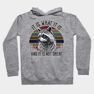 It Is What It Is And It Is Not Great Hoodie